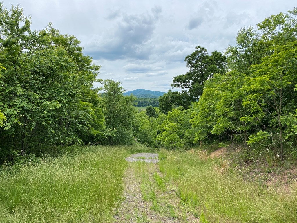 Tbd Hawthorne Holw Road Rural Retreat, VA 24368 - Photo 6 of 10 Gallery Image 6