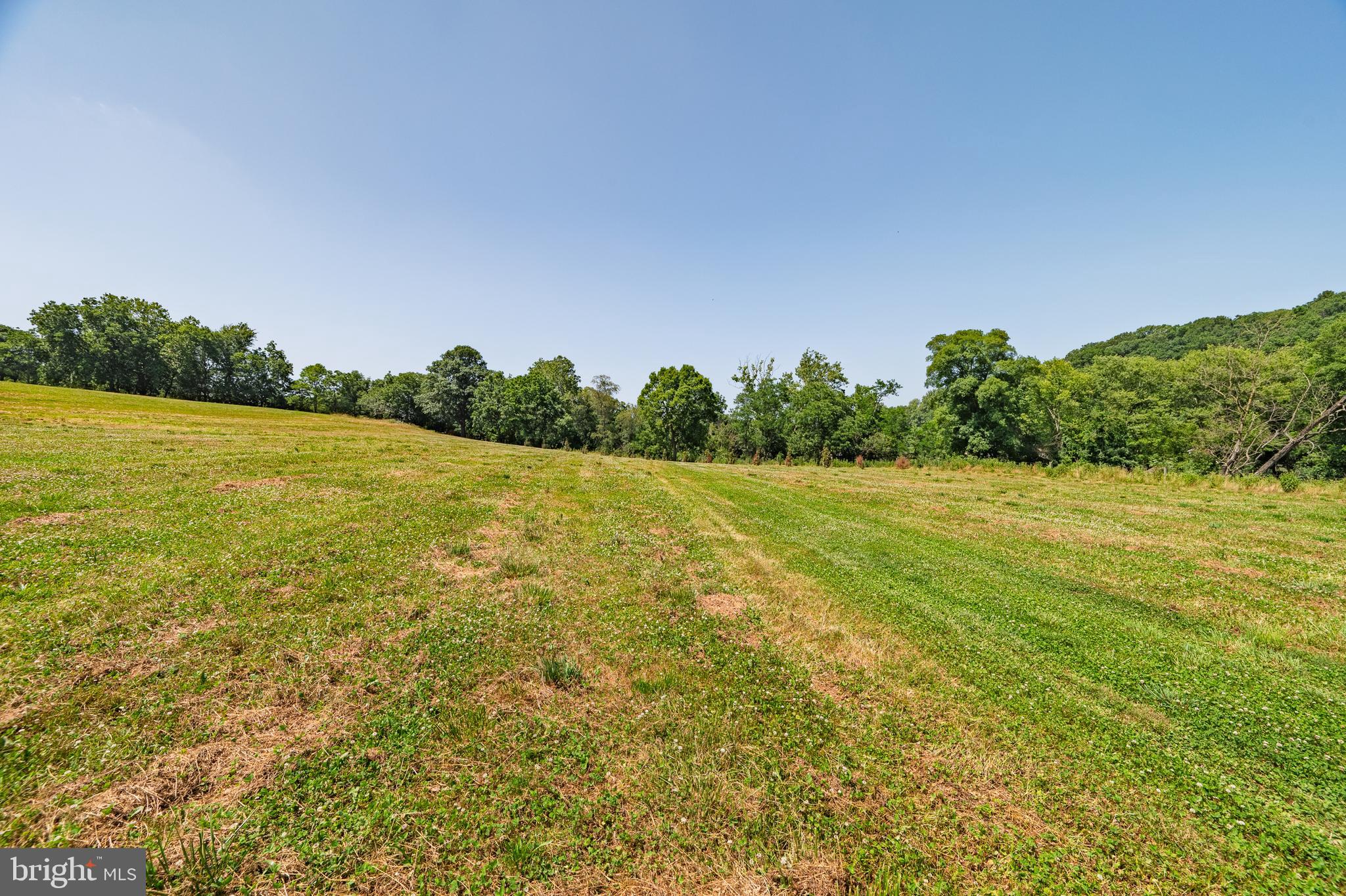 3150 Bidle Road Middletown, MD 21769 - Photo 83 of 93 Gallery Image 83