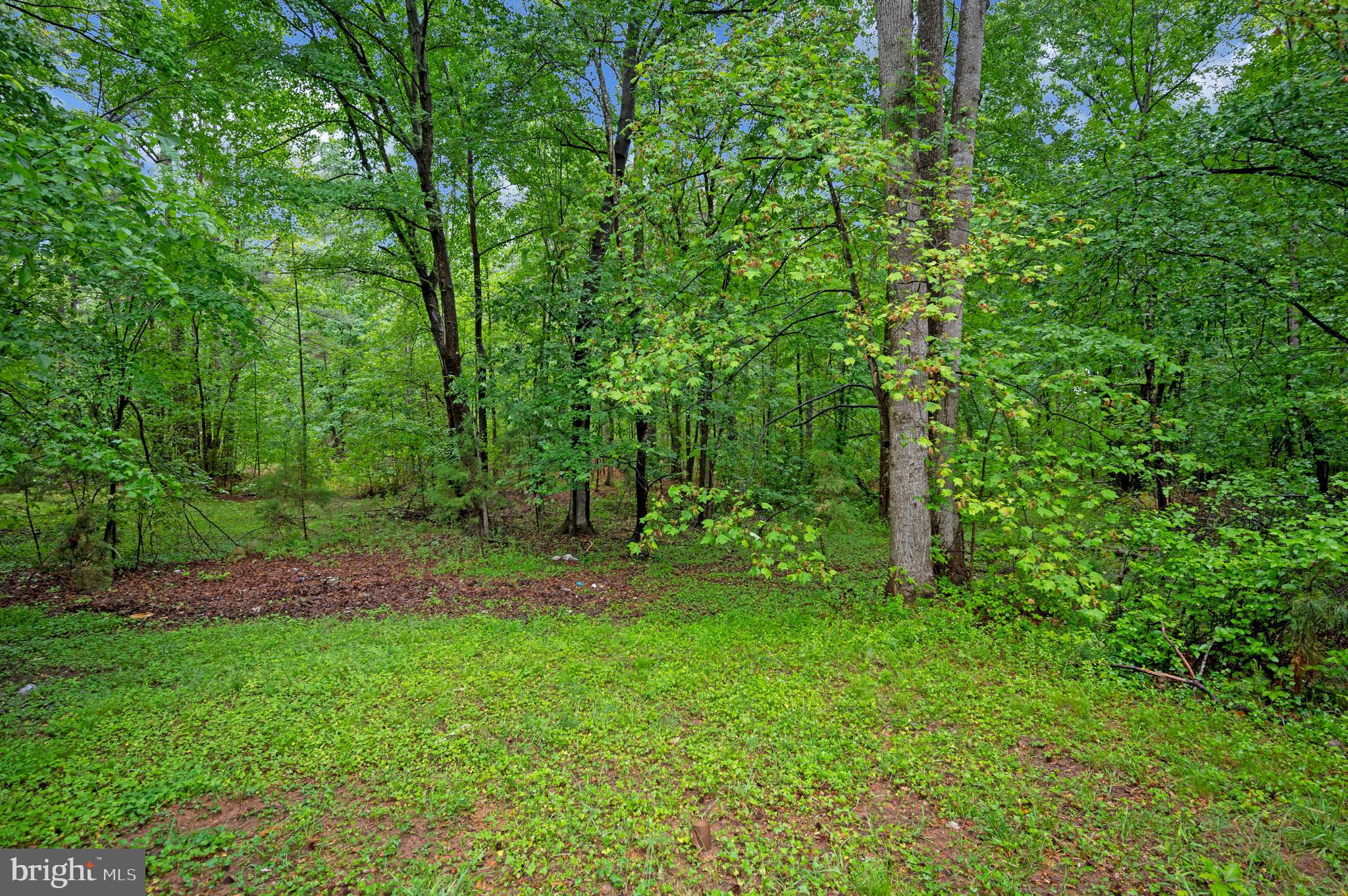 1438 Eastham Road Bumpass, VA 23024 - Photo 39 of 42