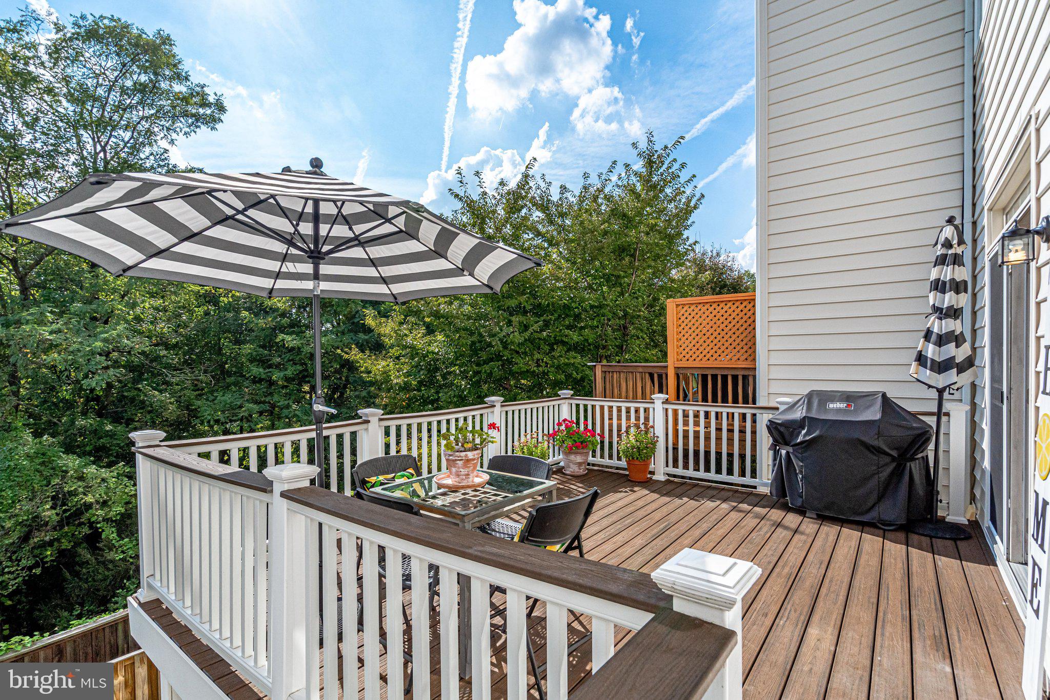 9167 Furey Road Lorton, VA 22079 - Photo 24 of 55 Entertain and grill on the beautiful deck.