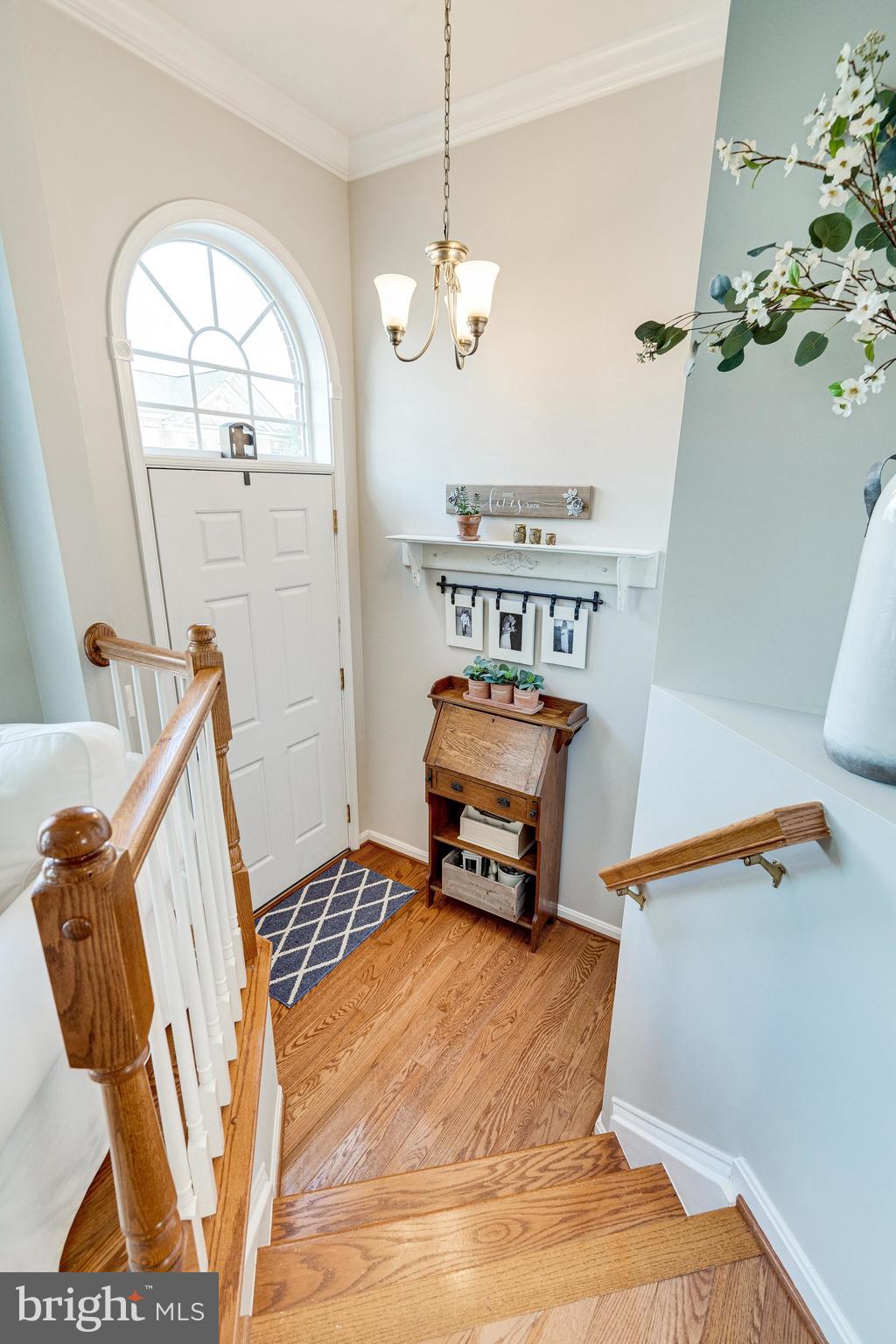 9167 Furey Road Lorton, VA 22079 - Photo 4 of 55 Tall and open foyer with coat closet.