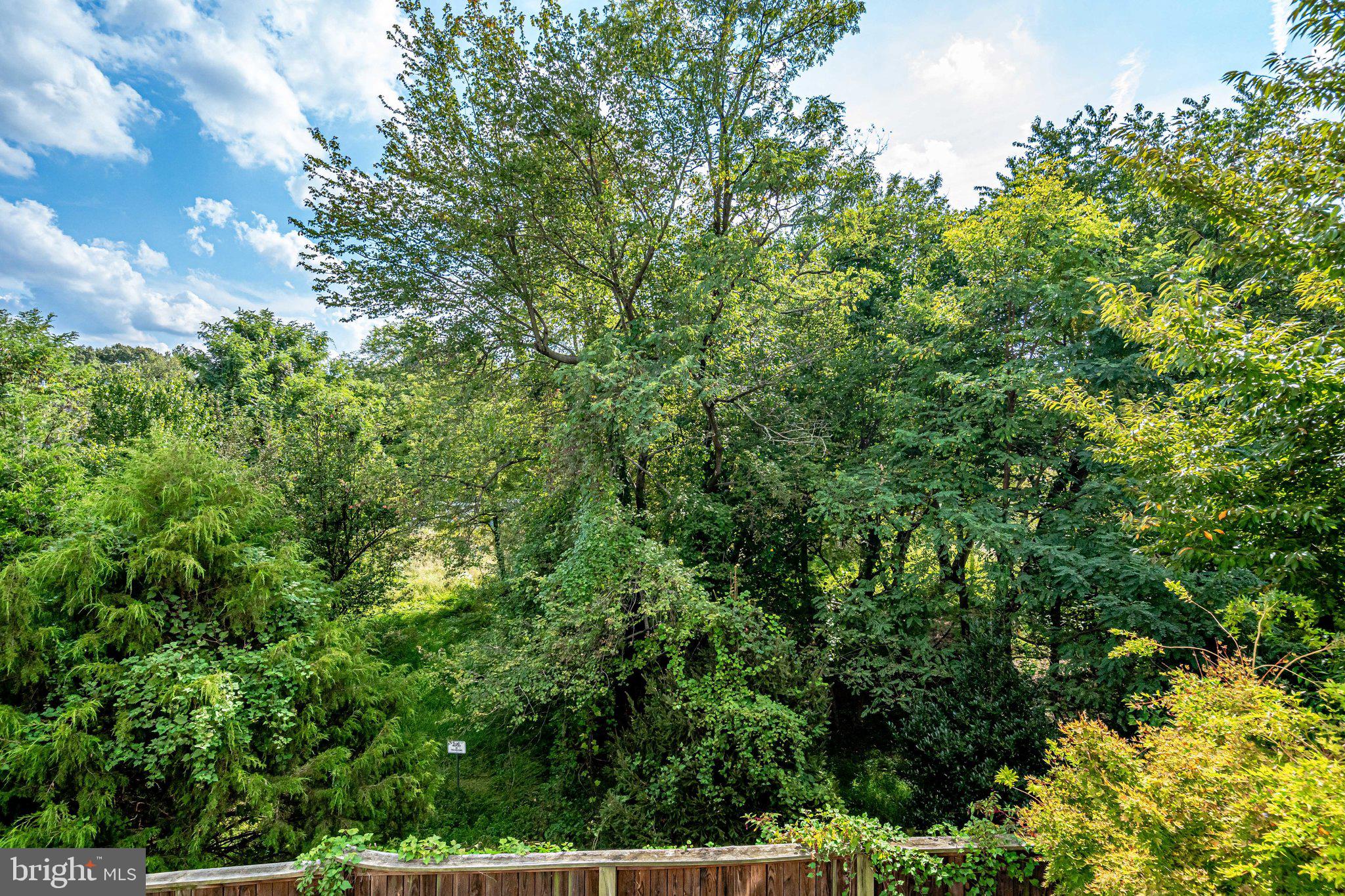 9167 Furey Road Lorton, VA 22079 - Photo 50 of 55 Backyard view.