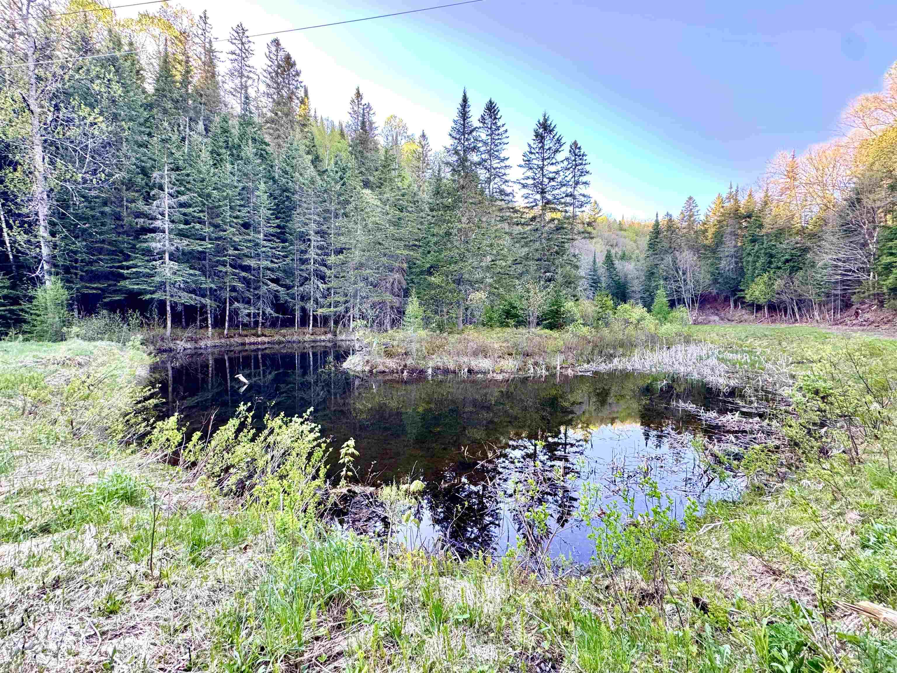 Lot 8 Gulch Brook Road Stewartstown, NH 03576 - Photo 18 of 22