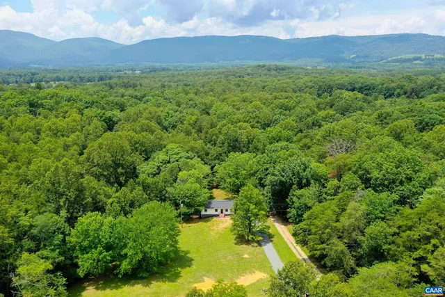 a view of a lush green hillside and a houses