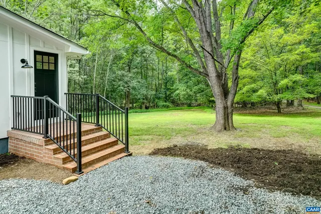 a view of a yard with lots of trees