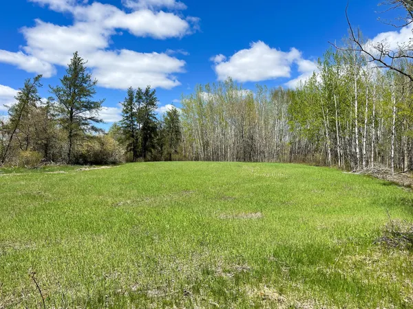 $208,000 | Tbd 15th Street Northwest, Bemidji, MN 56601