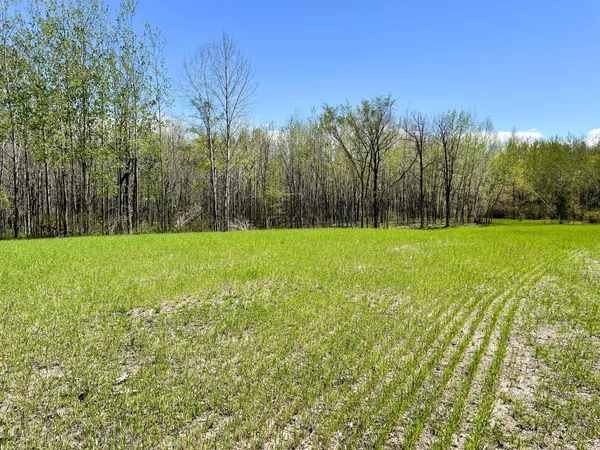 $208,000 | Tbd 15th Street Northwest, Bemidji, MN 56601