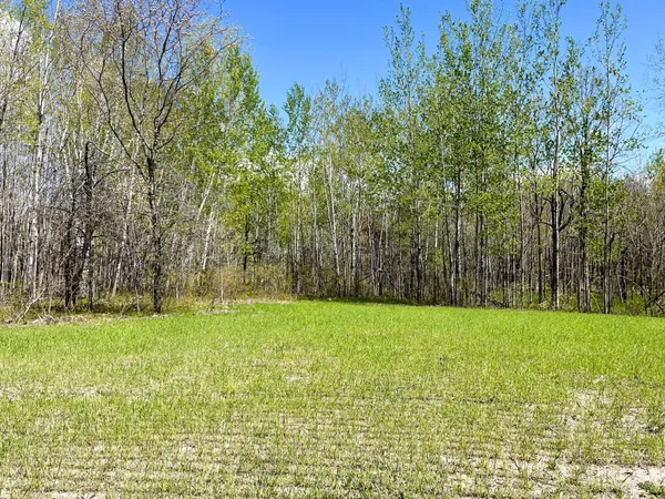 $208,000 | Tbd 15th Street Northwest, Bemidji, MN 56601