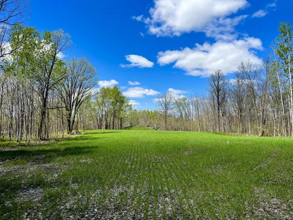 $208,000 | Tbd 15th Street Northwest, Bemidji, MN 56601