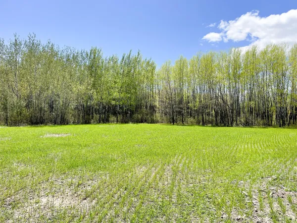 $208,000 | Tbd 15th Street Northwest, Bemidji, MN 56601