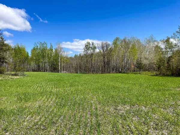 $208,000 | Tbd 15th Street Northwest, Bemidji, MN 56601