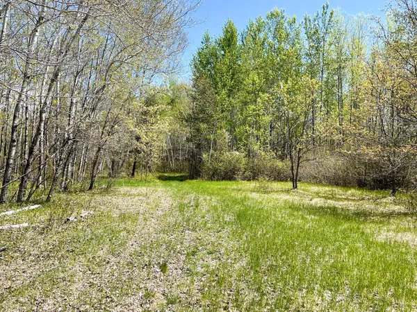 $208,000 | Tbd 15th Street Northwest, Bemidji, MN 56601