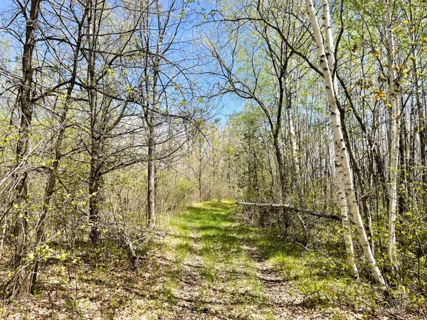 $208,000 | Tbd 15th Street Northwest, Bemidji, MN 56601