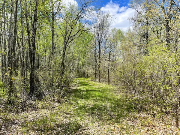 $208,000 | Tbd 15th Street Northwest, Bemidji, MN 56601