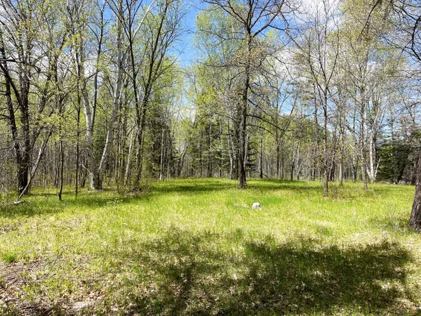 $208,000 | Tbd 15th Street Northwest, Bemidji, MN 56601