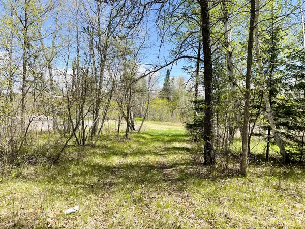 $208,000 | Tbd 15th Street Northwest, Bemidji, MN 56601