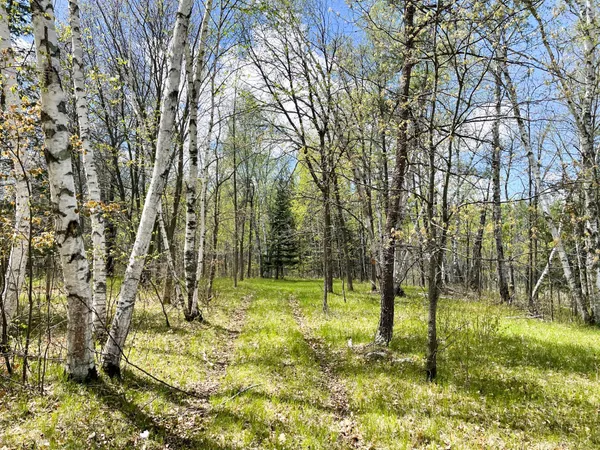 $208,000 | Tbd 15th Street Northwest, Bemidji, MN 56601