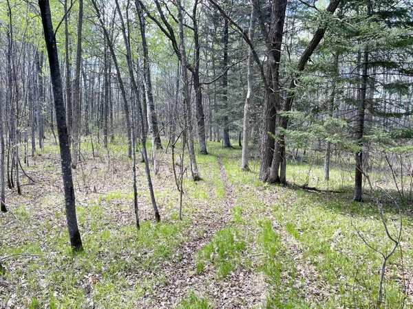 $208,000 | Tbd 15th Street Northwest, Bemidji, MN 56601