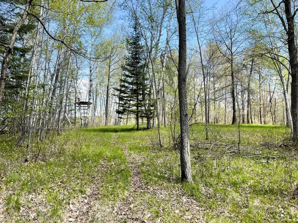 $208,000 | Tbd 15th Street Northwest, Bemidji, MN 56601