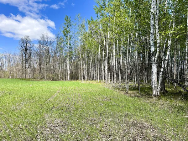 $208,000 | Tbd 15th Street Northwest, Bemidji, MN 56601
