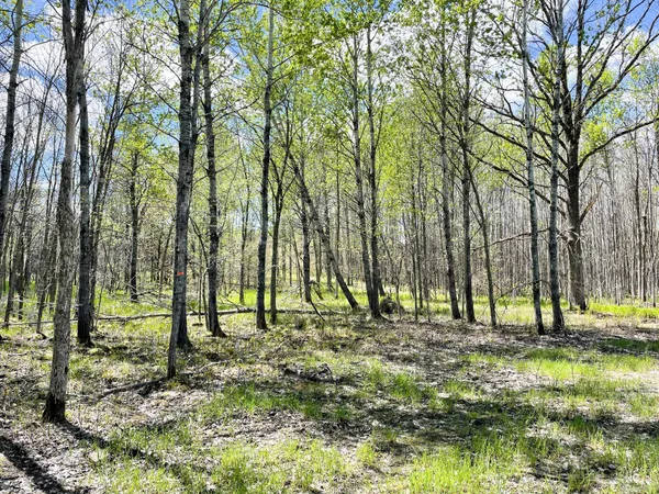 $208,000 | Tbd 15th Street Northwest, Bemidji, MN 56601