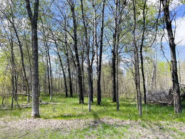 $208,000 | Tbd 15th Street Northwest, Bemidji, MN 56601