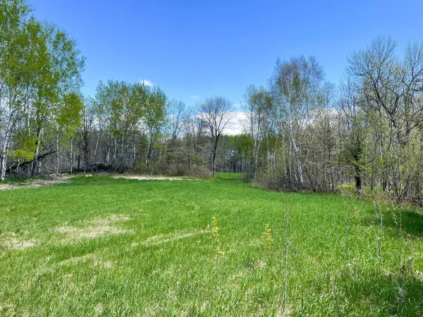 $208,000 | Tbd 15th Street Northwest, Bemidji, MN 56601