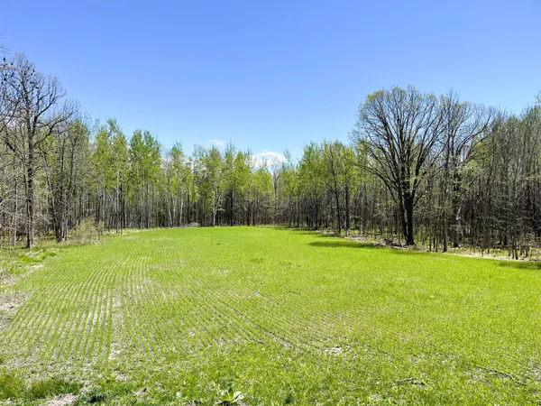 $208,000 | Tbd 15th Street Northwest, Bemidji, MN 56601