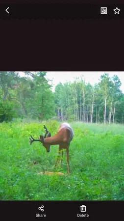 $208,000 | Tbd 15th Street Northwest, Bemidji, MN 56601