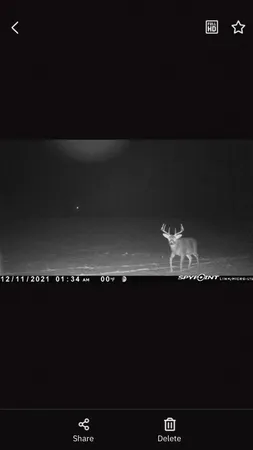 $208,000 | Tbd 15th Street Northwest, Bemidji, MN 56601