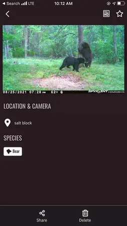 $208,000 | Tbd 15th Street Northwest, Bemidji, MN 56601