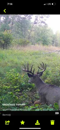 $208,000 | Tbd 15th Street Northwest, Bemidji, MN 56601