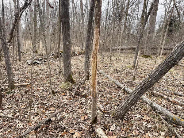 $208,000 | Tbd 15th Street Northwest, Bemidji, MN 56601