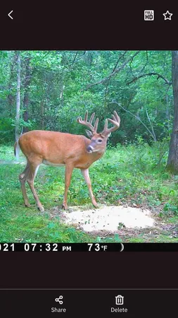 $208,000 | Tbd 15th Street Northwest, Bemidji, MN 56601