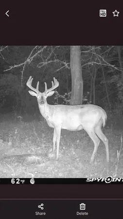 $208,000 | Tbd 15th Street Northwest, Bemidji, MN 56601