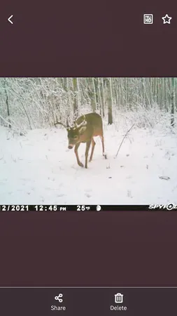 $208,000 | Tbd 15th Street Northwest, Bemidji, MN 56601