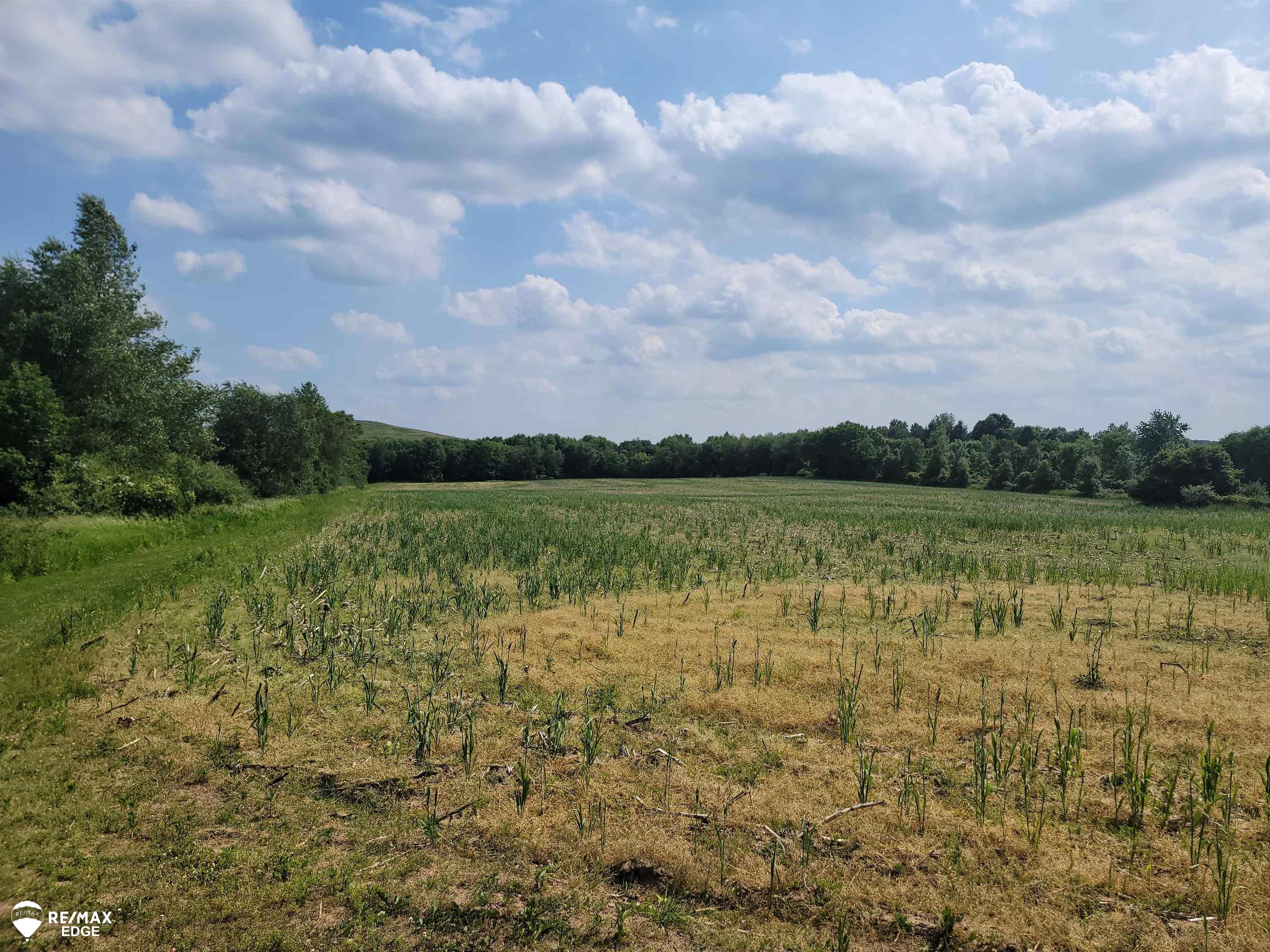 0 Olds Road Otisville, MI 48463 - Photo 1 of 4 Gallery Image 1