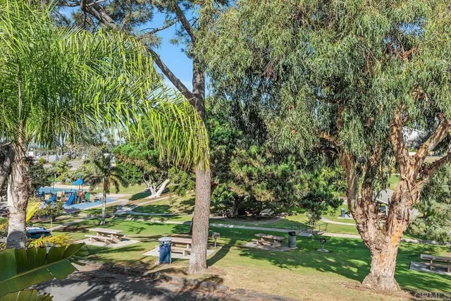 a view of a garden with a tree
