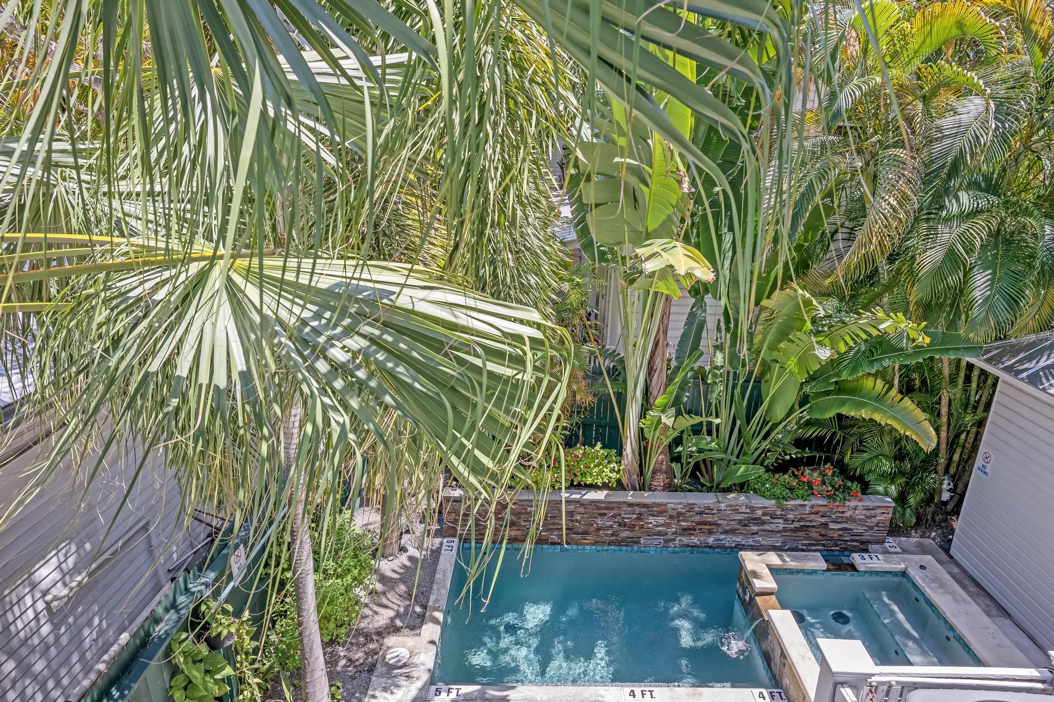 616 Caroline Street, Unit 5 Key West, FL 33040 - Photo 16 of 41 a view of a yard with plants and large trees