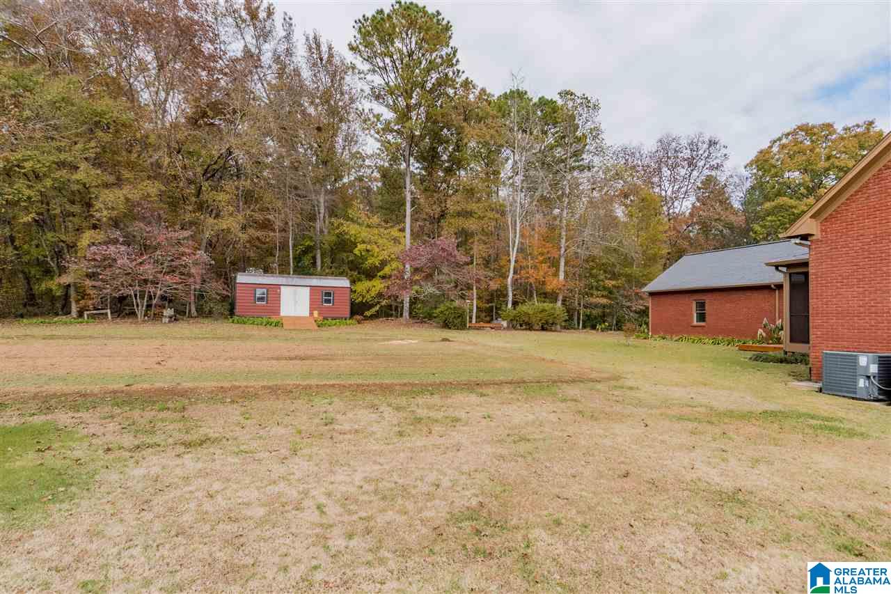 2965 Crawford Cove Road Springville, AL 35146 - Photo 48 of 50