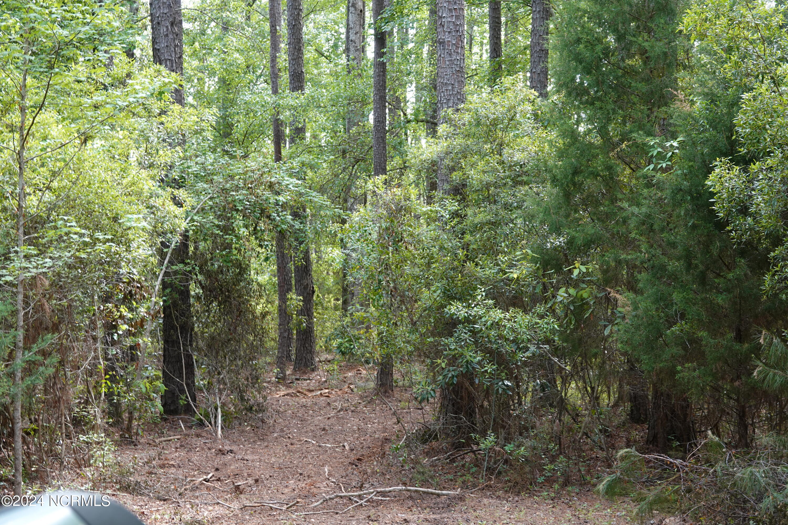 565 Bell Point Road Merritt, NC 28556 - Photo 16 of 27 DSC00066