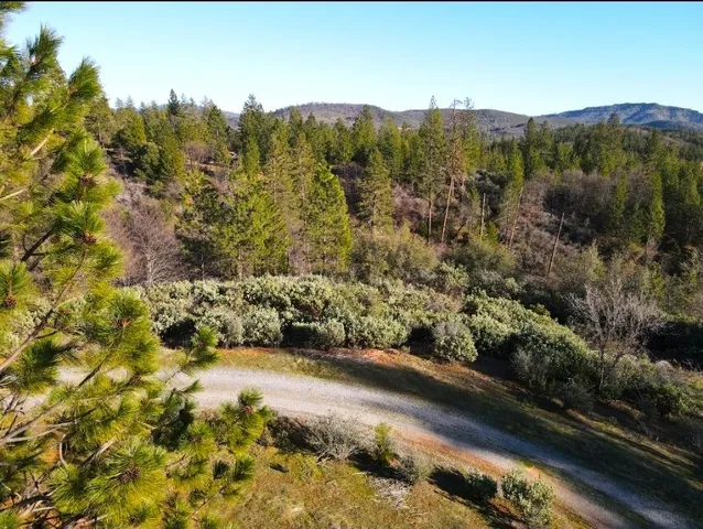 a kitchen with kitchen island granite countertop a sink a counter top space and cabinets