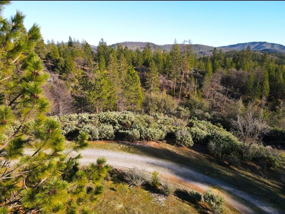 2805 Mason Road Rail Road Flat, CA 95248 - Photo 11 of 75