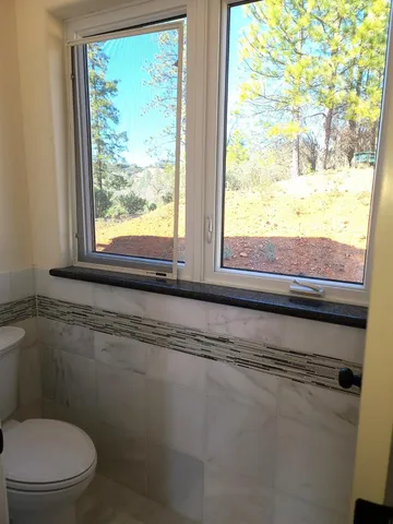 a view of a forest with trees in the background