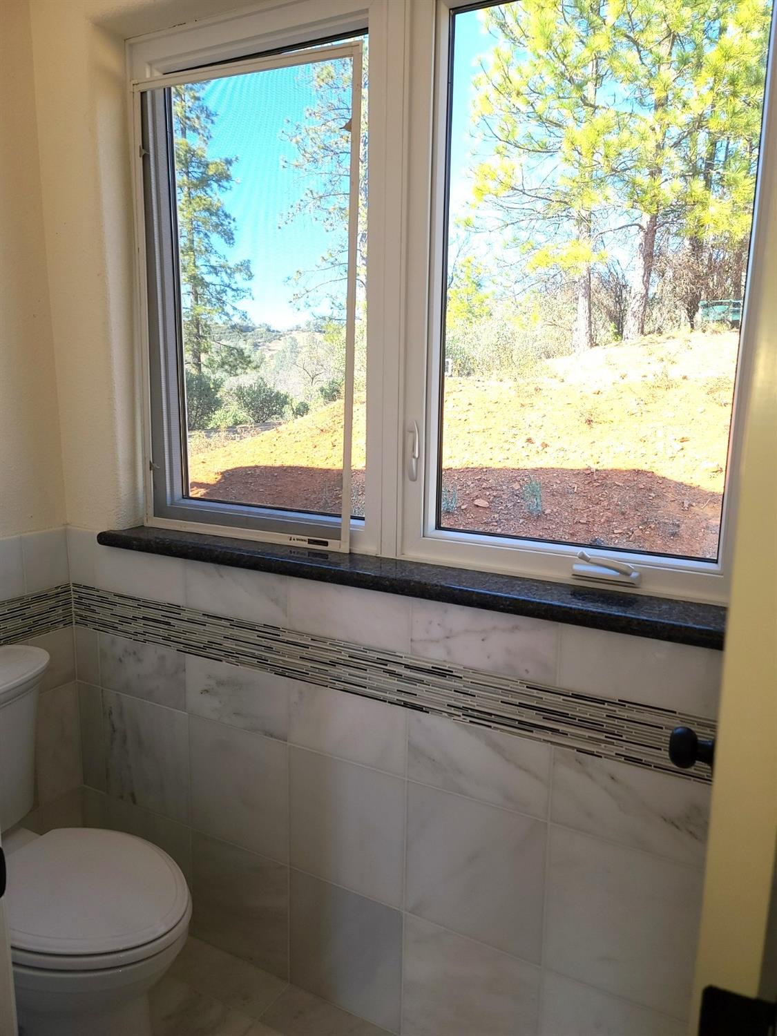 2805 Mason Road Rail Road Flat, CA 95248 - Photo 44 of 75 Main level master bathroom