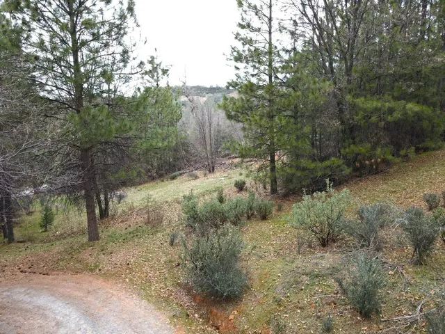 $799,000 | 2805 Mason Road, Rail Road Flat, CA 95248