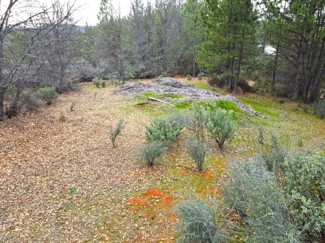 $799,000 | 2805 Mason Road, Rail Road Flat, CA 95248