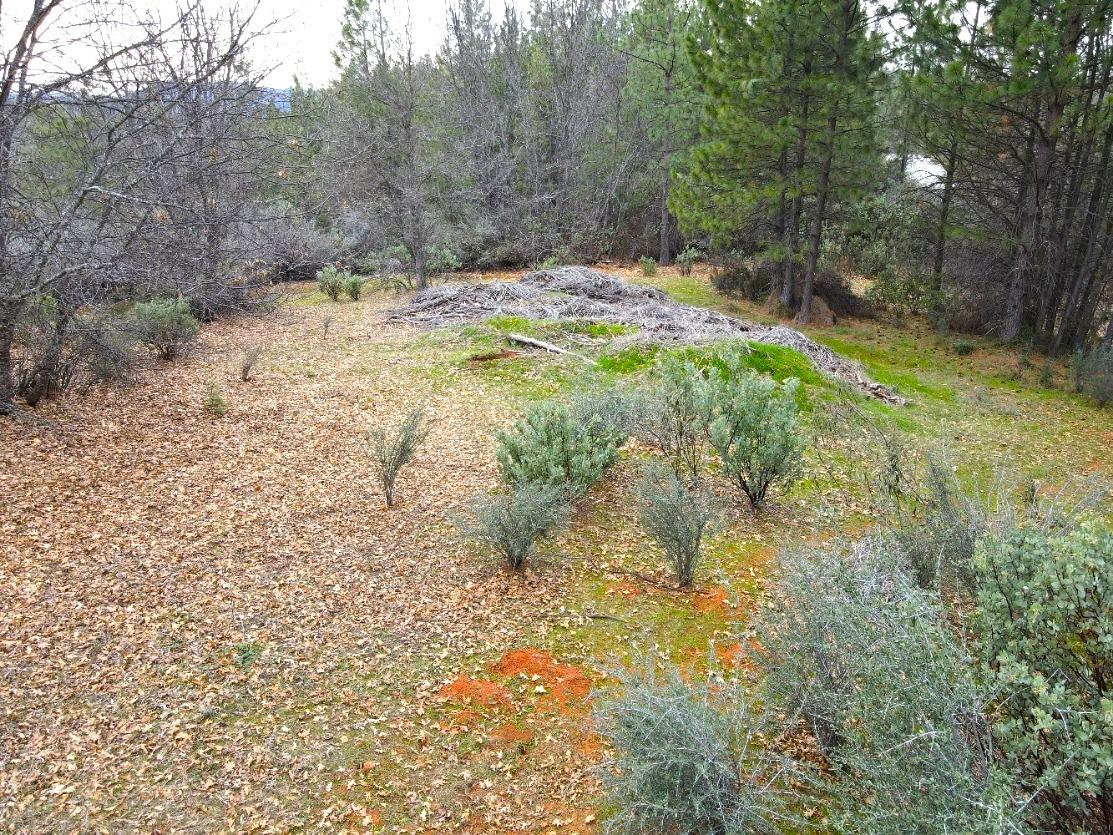 2805 Mason Road Rail Road Flat, CA 95248 - Photo 71 of 75