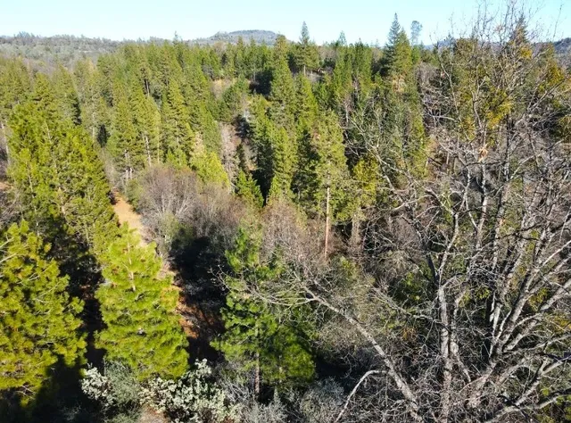 $799,000 | 2805 Mason Road, Rail Road Flat, CA 95248