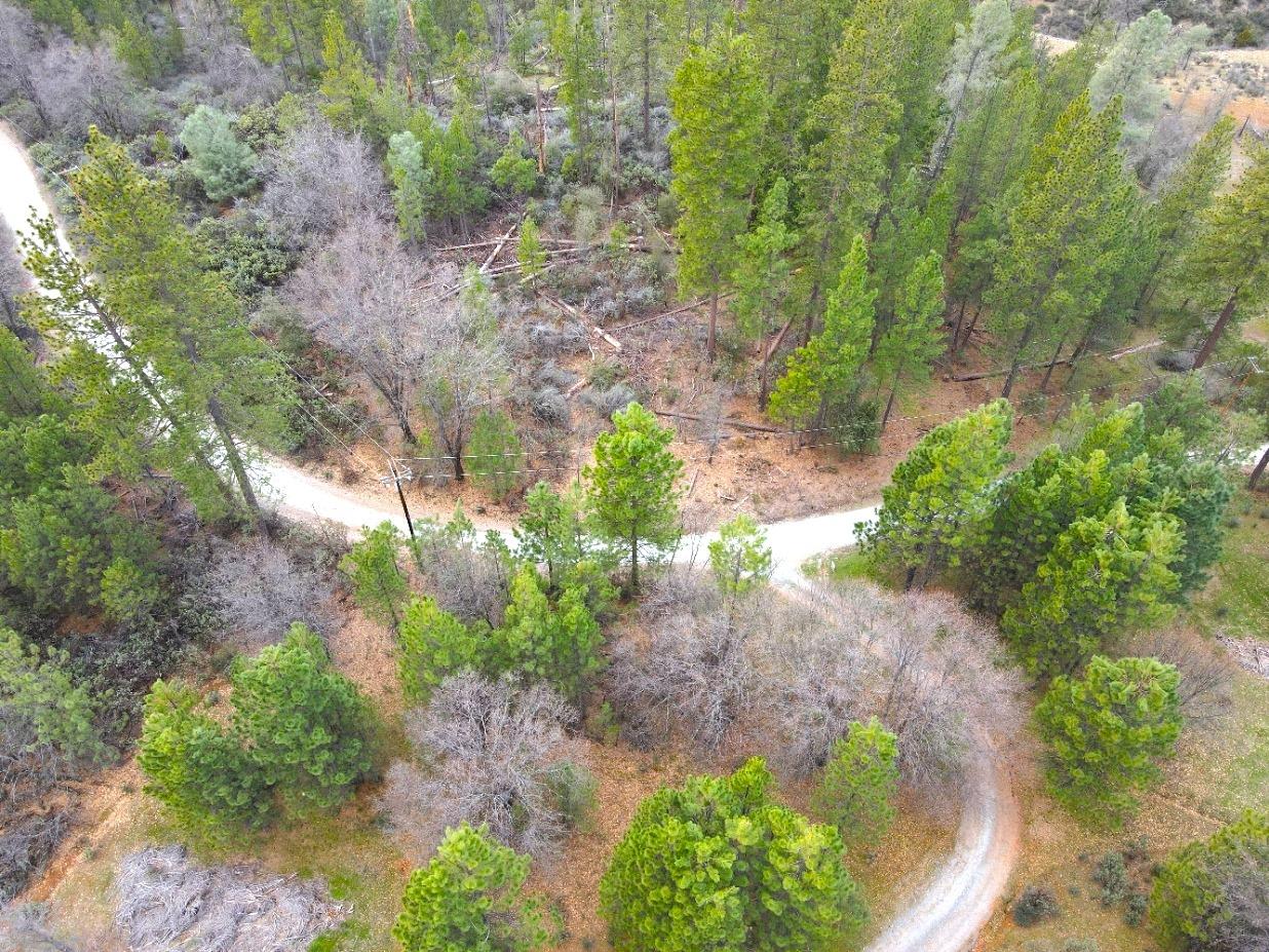 2805 Mason Road Rail Road Flat, CA 95248 - Photo 75 of 75 a view of a pathway both side of yard